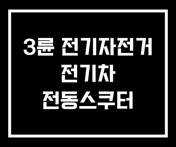 3륜 전기자전거 전기차 전동스쿠터 3륜 전기자전거 전기차 전동스쿠터