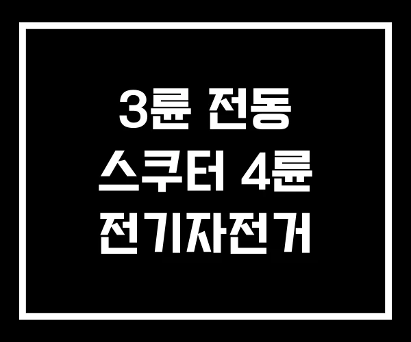 3륜 전동 스쿠터 4륜 전기자전거 3륜 전동 스쿠터 4륜 전기자전거