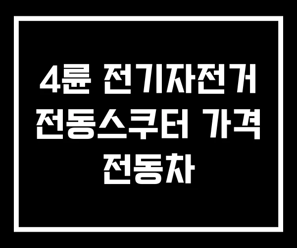 4륜 전기자전거 전동스쿠터 가격 전동차 4륜 전기자전거 전동스쿠터 가격 전동차