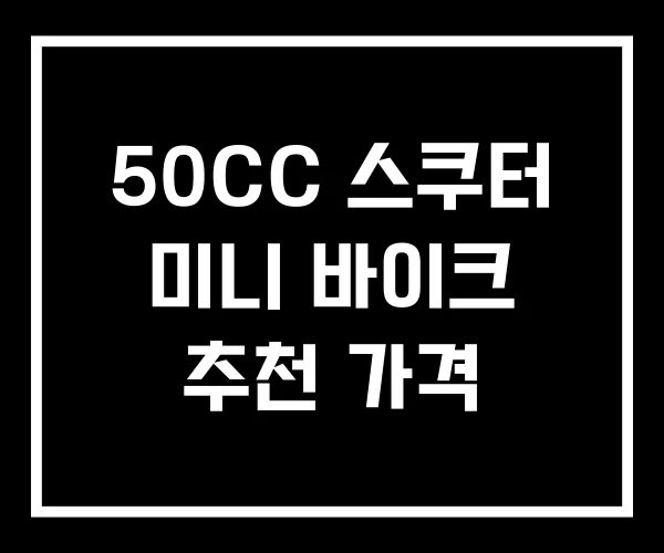 50CC 스쿠터 미니 바이크 추천 가격 50CC 스쿠터 미니 바이크 추천 가격