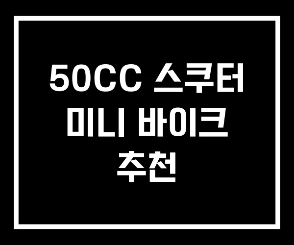 50CC 스쿠터 미니 바이크 추천 50CC 스쿠터 미니 바이크 추천