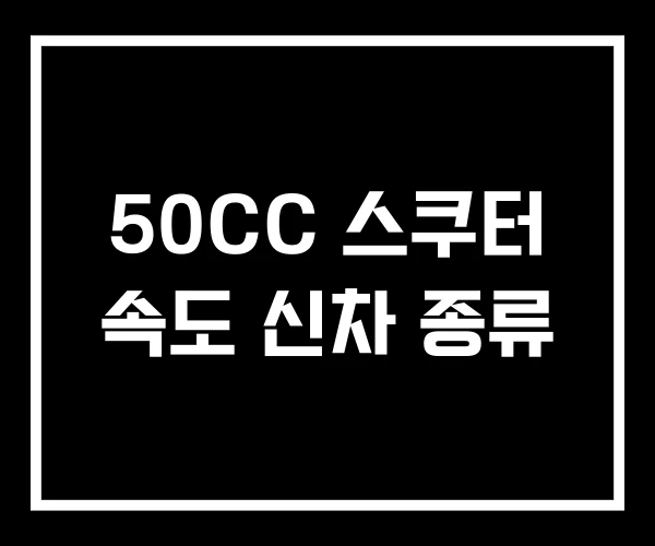 50CC 스쿠터 속도 신차 종류 50CC 스쿠터 속도 신차 종류