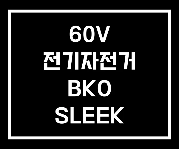 60V 전기자전거 BKO SLEEK 60V 전기자전거 BKO SLEEK