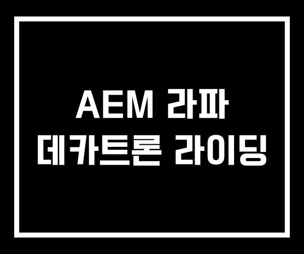 AEM 라파 데카트론 라이딩 AEM 라파 데카트론 라이딩