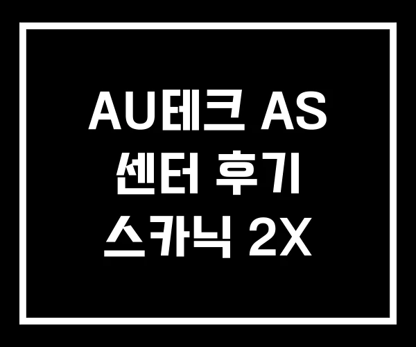 AU테크 AS 센터 후기 스카닉 2X AU테크 AS 센터 후기 스카닉 2X