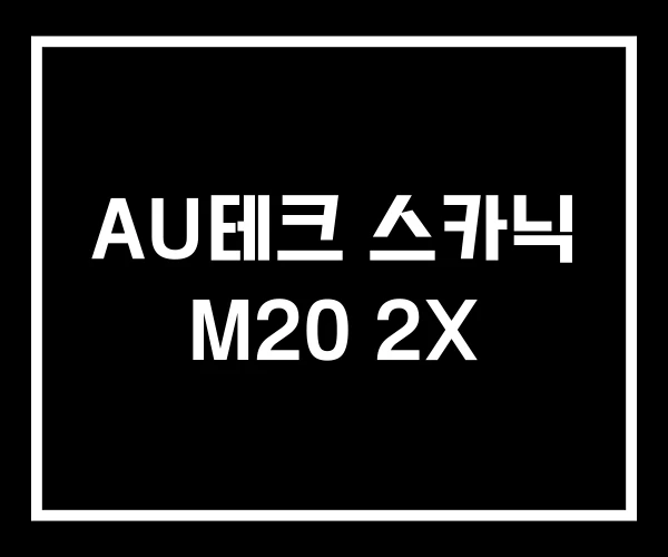 AU테크 스카닉 M20 2X AU테크 스카닉 M20 2X