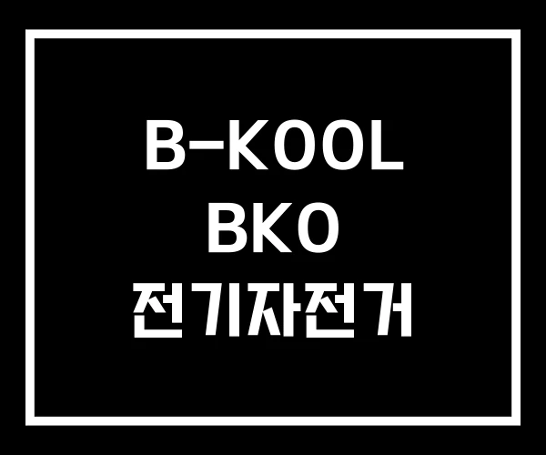 B-KOOL BKO 전기자전거 B-KOOL BKO 전기자전거