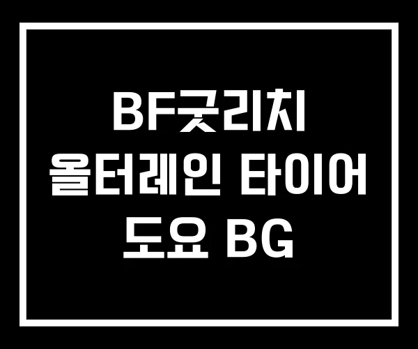 BF굿리치 올터레인 타이어 도요 BG