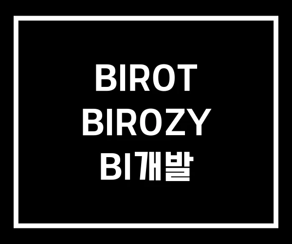 BIROT BIROZY BI개발 BIROT BIROZY BI개발