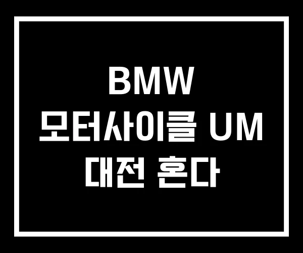 BMW 모터사이클 UM 대전 혼다 BMW 모터사이클 UM 대전 혼다