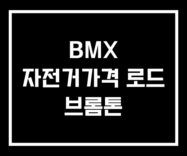 BMX 자전거가격 로드 브롬톤
