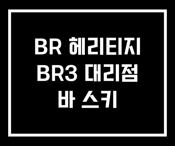 BR 헤리티지 BR3 대리점 바 스키 BR 헤리티지 BR3 대리점 바 스키