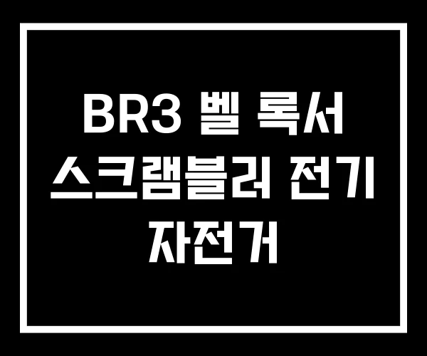 BR3 벨 록서 스크램블러 전기 자전거