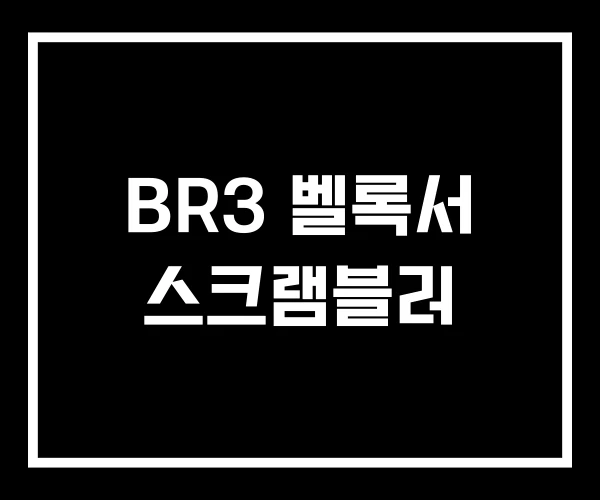 BR3 벨록서 스크램블러 BR3 벨록서 스크램블러