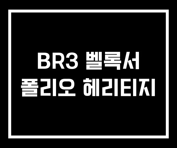BR3 벨록서 폴리오 헤리티지 BR3 벨록서 폴리오 헤리티지