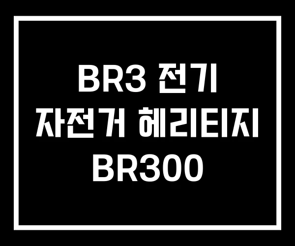 BR3 전기 자전거 헤리티지 BR300