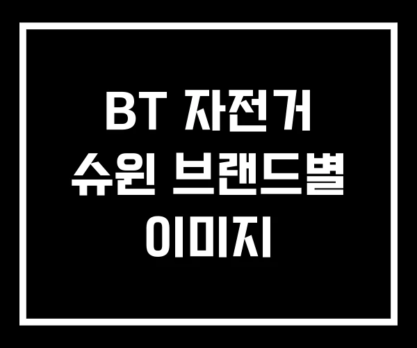 BT 자전거 슈윈 브랜드별 이미지 BT 자전거 슈윈 브랜드별 이미지