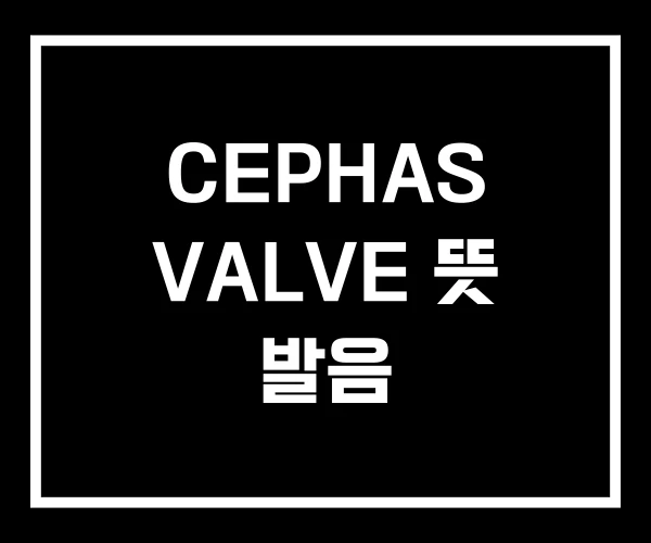 CEPHAS VALVE 뜻 발음
