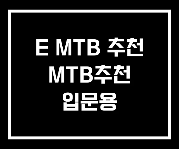 E MTB 추천 MTB추천 입문용