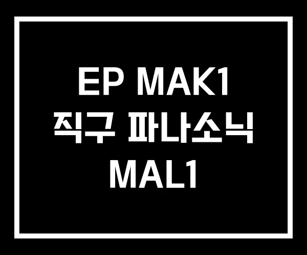 EP MAK1 직구 파나소닉 MAL1 EP MAK1 직구 파나소닉 MAL1