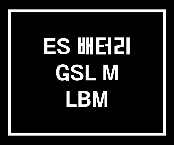 ES 배터리 GSL M LBM ES 배터리 GSL M LBM