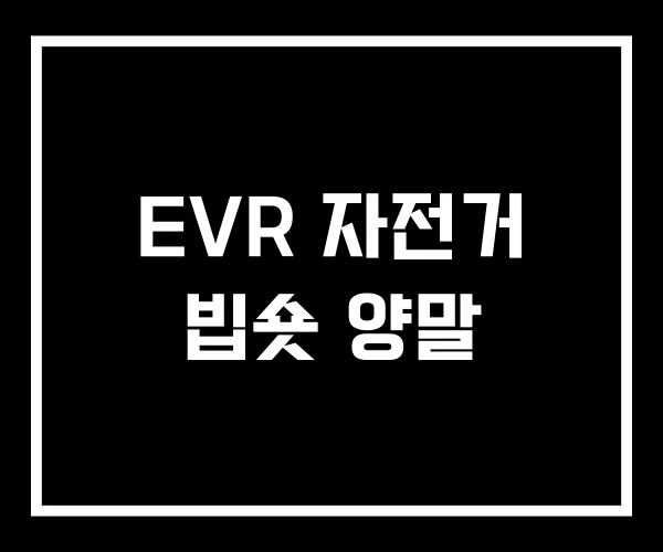 EVR 자전거 빕숏 양말
