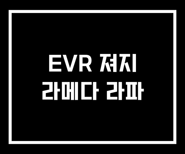 EVR 져지 라메다 라파 EVR 져지 라메다 라파
