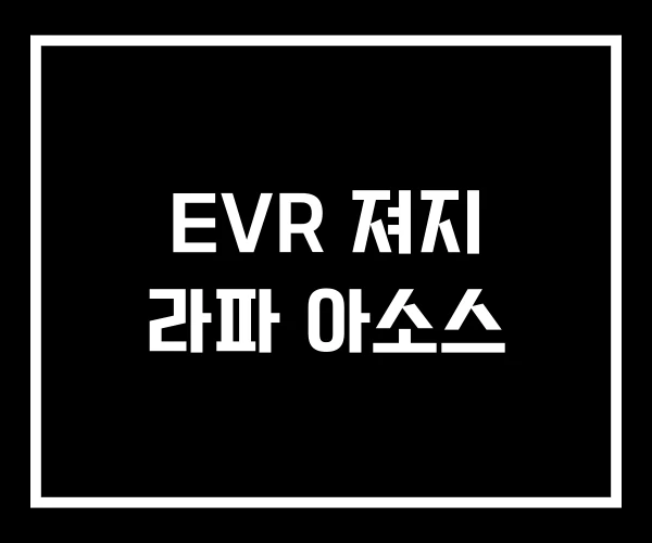 EVR 져지 라파 아소스 EVR 져지 라파 아소스