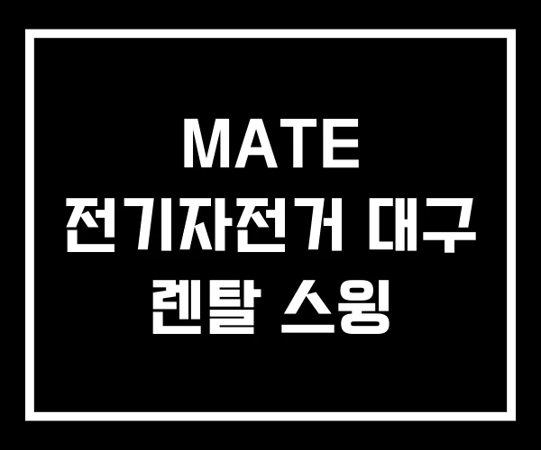 MATE 전기자전거 대구 렌탈 스윙 MATE 전기자전거 대구 렌탈 스윙