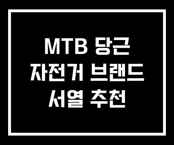 MTB 당근 자전거 브랜드 서열 추천 MTB 당근 자전거 브랜드 서열 추천