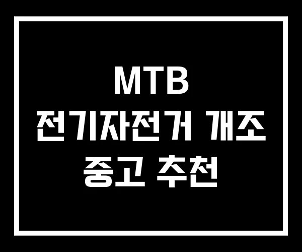 MTB 전기자전거 개조 중고 추천 MTB 전기자전거 개조 중고 추천