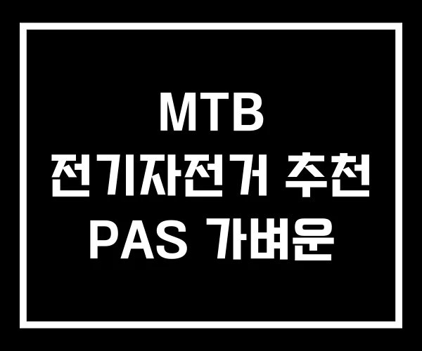 MTB 전기자전거 추천 PAS 가벼운 MTB 전기자전거 추천 PAS 가벼운