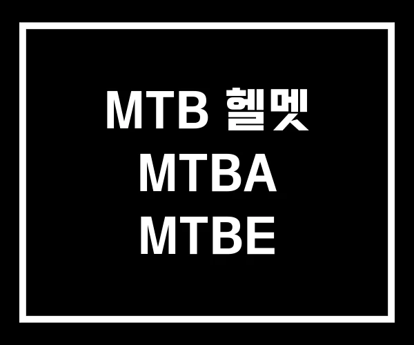 MTB 헬멧 MTBA MTBE MTB 헬멧 MTBA MTBE