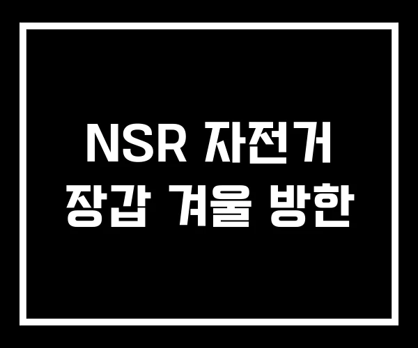 NSR 자전거 장갑 겨울 방한 NSR 자전거 장갑 겨울 방한