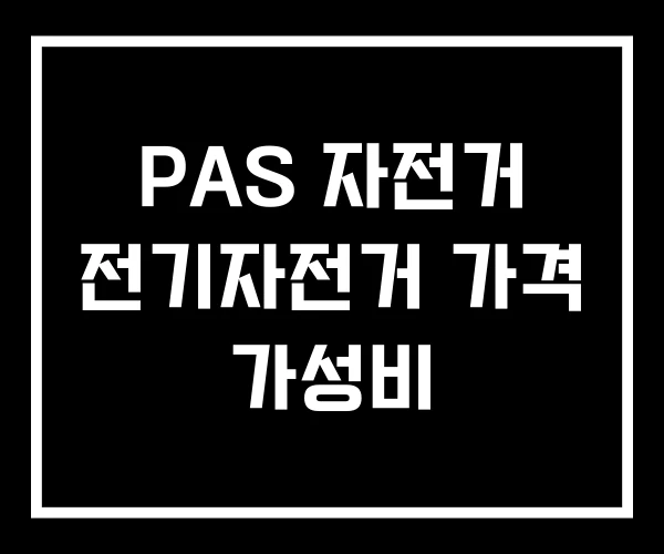 PAS 자전거 전기자전거 가격 가성비 PAS 자전거 전기자전거 가격 가성비