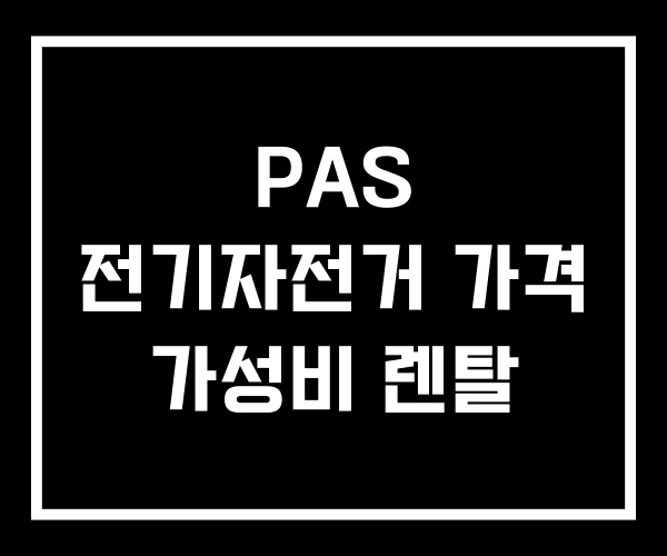 PAS 전기자전거 가격 가성비 렌탈 PAS 전기자전거 가격 가성비 렌탈