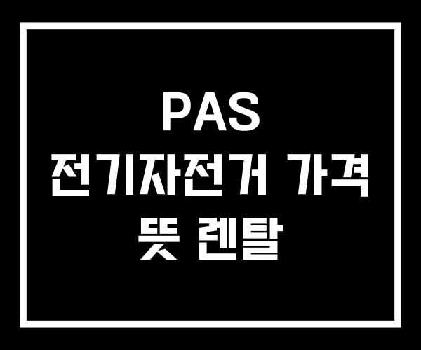 PAS 전기자전거 가격 뜻 렌탈 PAS 전기자전거 가격 뜻 렌탈