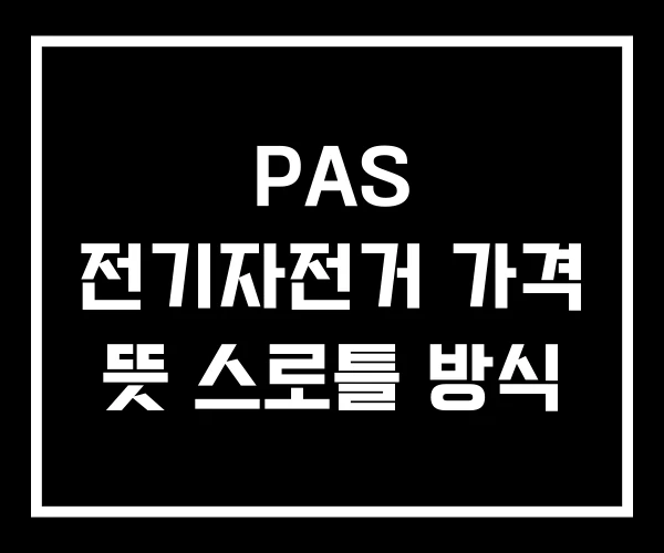 PAS 전기자전거 가격 뜻 스로틀 방식 PAS 전기자전거 가격 뜻 스로틀 방식