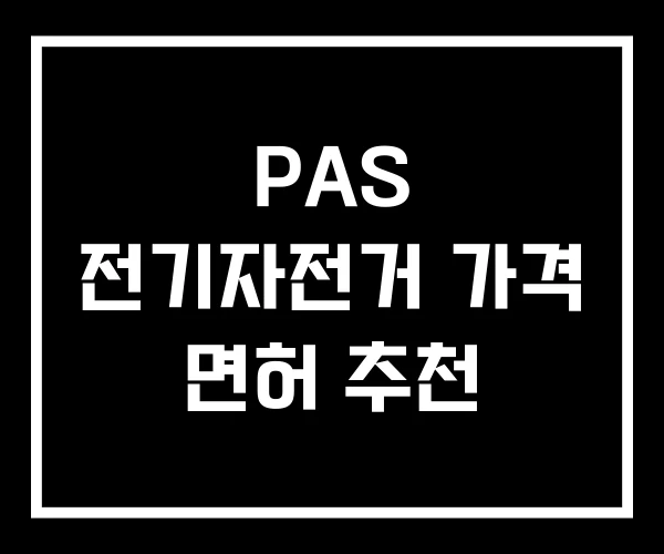 PAS 전기자전거 가격 면허 추천 PAS 전기자전거 가격 면허 추천