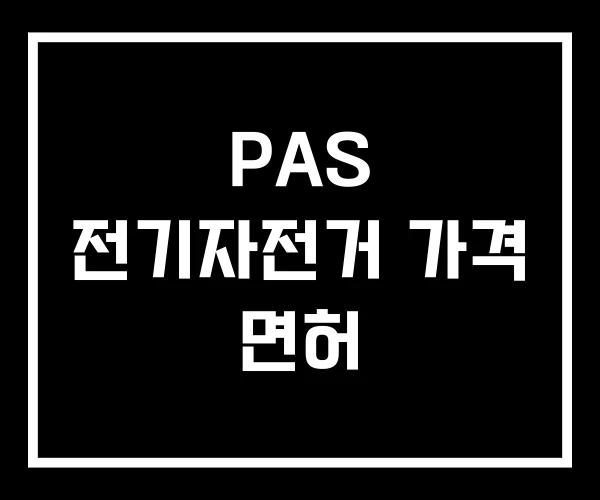 PAS 전기자전거 가격 면허 PAS 전기자전거 가격 면허