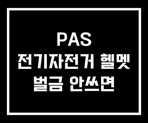 PAS 전기자전거 헬멧 벌금 안쓰면 PAS 전기자전거 헬멧 벌금 안쓰면