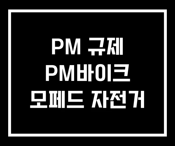 PM 규제 PM바이크 모페드 자전거 PM 규제 PM바이크 모페드 자전거