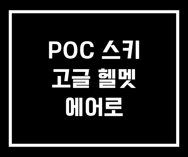 POC 스키 고글 헬멧 에어로 POC 스키 고글 헬멧 에어로