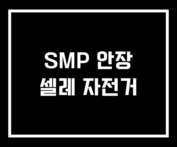 SMP 안장 셀레 자전거 SMP 안장 셀레 자전거