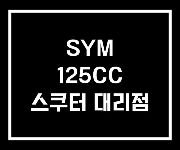 SYM 125CC 스쿠터 대리점 SYM 125CC 스쿠터 대리점