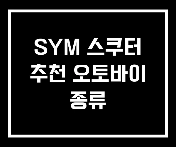 SYM 스쿠터 추천 오토바이 종류 SYM 스쿠터 추천 오토바이 종류