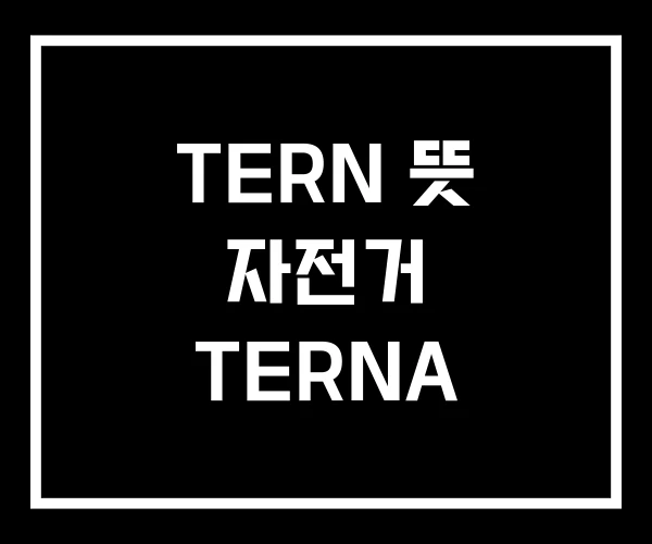 TERN 뜻 자전거 TERNA TERN 뜻 자전거 TERNA