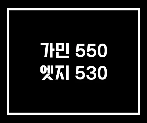 가민 550 엣지 530