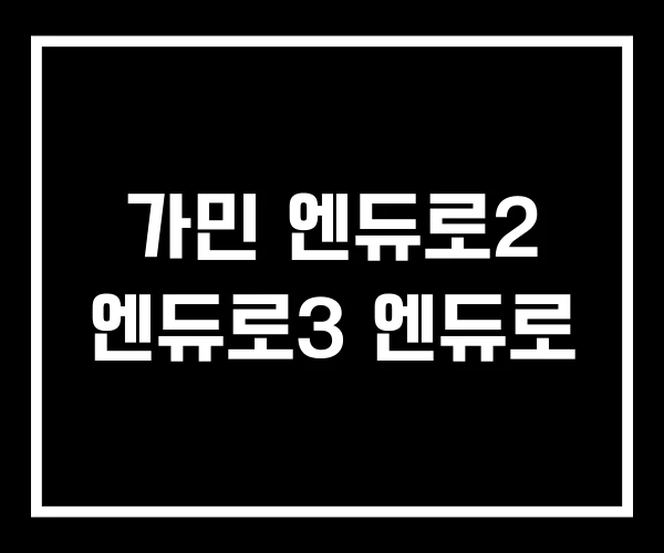 가민 엔듀로2 엔듀로3 엔듀로