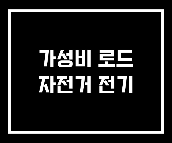 가성비 로드 자전거 전기 가성비 로드 자전거 전기